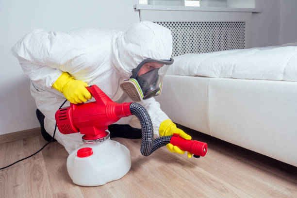 Professional Pest Control in Lake Wales, FL